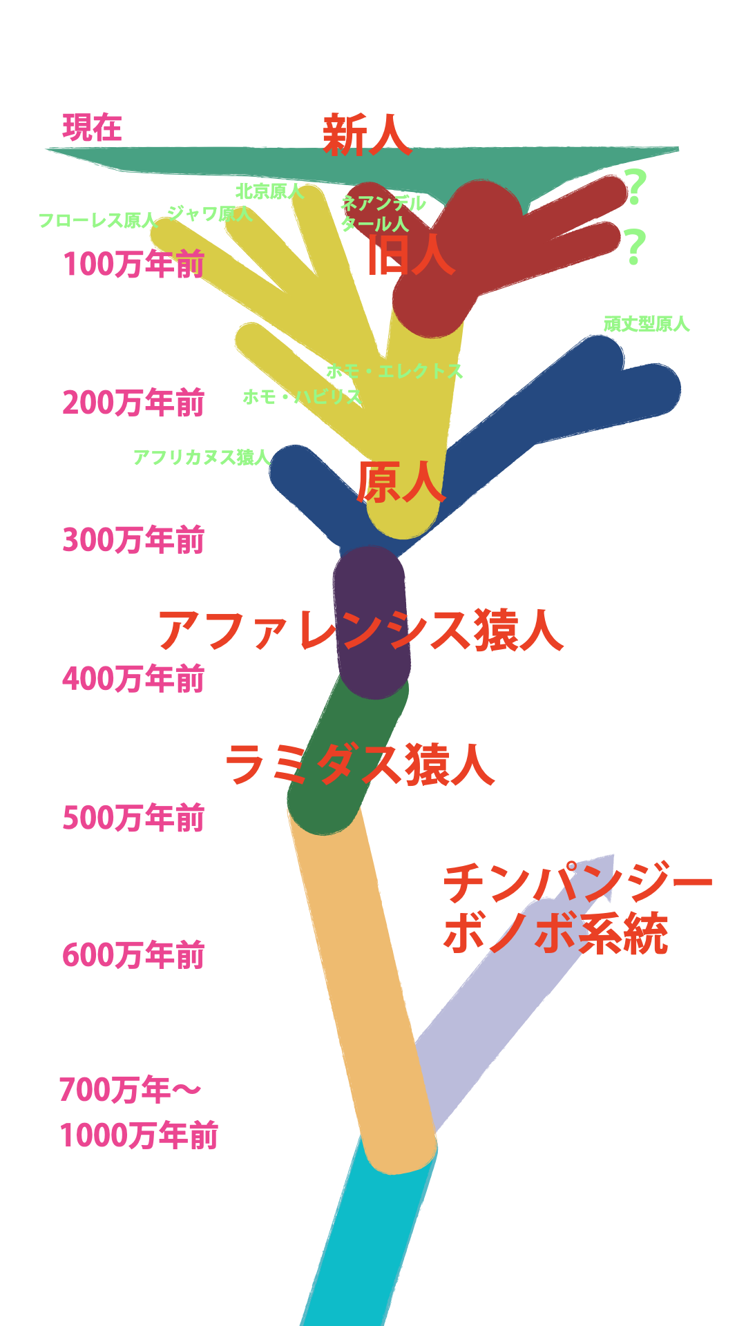 ヒト系統樹